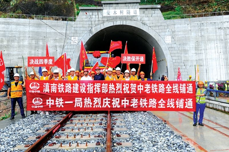 China-Laos Railway Construction